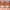 Pastel Dream Palette + Colorfix Bundle