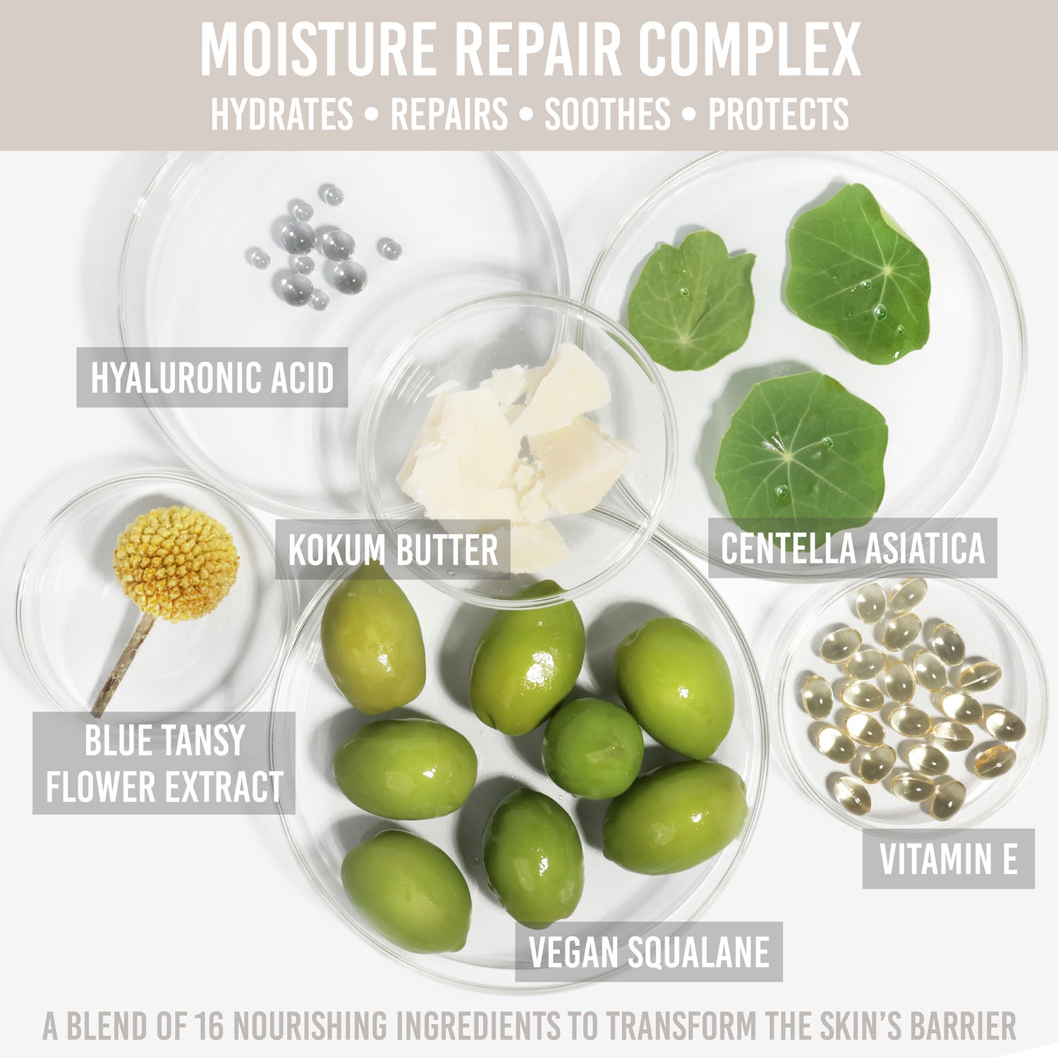Yummy Skin Moisture Repair Balm Serum